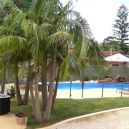 Koala Tree Motel Port Macquarie Extérieur photo