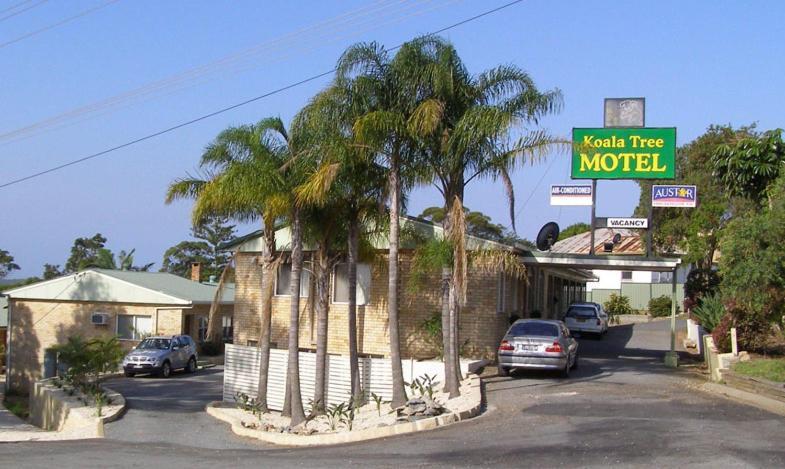 Koala Tree Motel Port Macquarie Extérieur photo