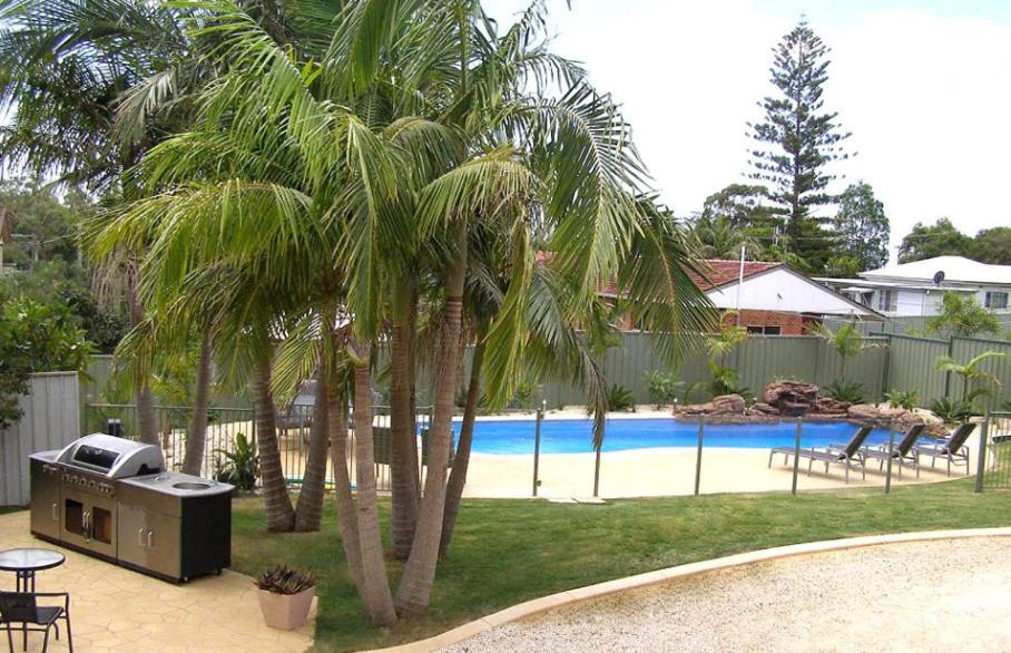 Koala Tree Motel Port Macquarie Extérieur photo